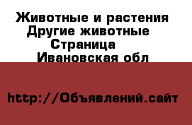 Животные и растения Другие животные - Страница 3 . Ивановская обл.